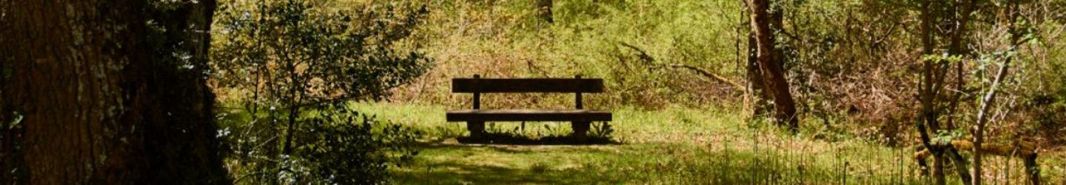 LifeChanging Technology